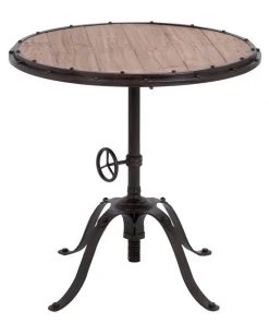 Grayson Lane Industrial Black Chinese Fir and Metal Round End Table
