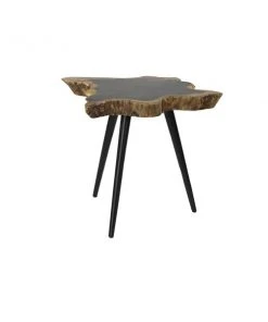 Grayson Lane Brown Rosewood and Metal Live Edge End Table