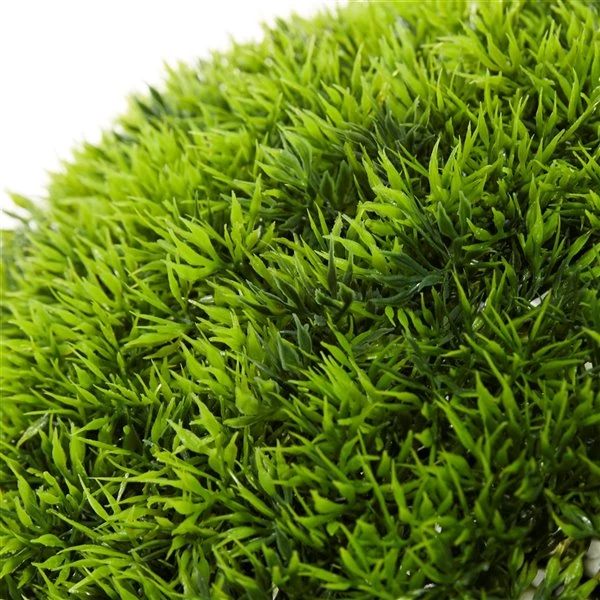 Grayson Lane 22-in Green Artificial Boxwood Plants 3 Grayson Lane 22-in Green Artificial Boxwood Plants - Image 3