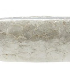 Grayson Lane Coastal Decorative Bowl - White Resin and Shell - 6-in X 36-in -GRAYSON LANE shop 330858323 AlternateImage3 l