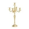 Grayson Lane 5-Candle Metal Candelabra Holder - 25-in x 14-in