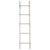 Grayson Lane Contemporary Ladder - Brown Stainless Steel - 72-in X 17-in x 2-in C
