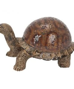 Grayson Lane v Coastal Sculpture - Brown Poly Stone - 6-in X 11-in