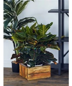 Grayson Lane Set of 3 21-in , 16-in , 13-in Farmhouse Storage Basket - Brown Wood -GRAYSON LANE shop 330858550 AlternateImage1 l