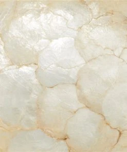 Grayson Lane Natural Brown Wood and Shell Decorative Bowl -GRAYSON LANE shop 330859604 AlternateImage2 l