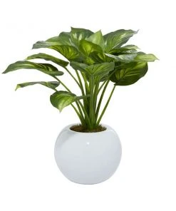 Grayson Lane 23-in x 23-in Natural Artificial Foliage - Green Plastic and Glass