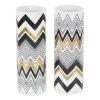 Grayson Lane Set of 2 5-in x 14-in Contemporary Vase - White Dolomite
