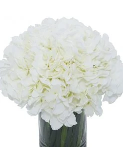 Grayson Lane 10-in x 11-in Natural Artificial Foliage - White Plastic and Glass -GRAYSON LANE shop 330861467 AlternateImage2 l