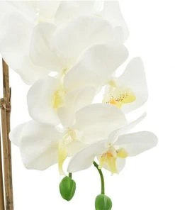 Grayson Lane 7-in x 18-in Natural Artificial Foliage - White Plastic and Ceramic -GRAYSON LANE shop 330861578 AlternateImage3 l