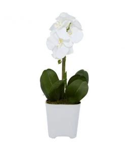 Grayson Lane 7-in x 18-in Natural Artificial Foliage - White Plastic and Ceramic -GRAYSON LANE shop 330861578 AlternateImage4 l