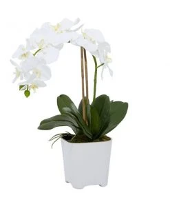 Grayson Lane 7-in x 18-in Natural Artificial Foliage - White Plastic and Ceramic