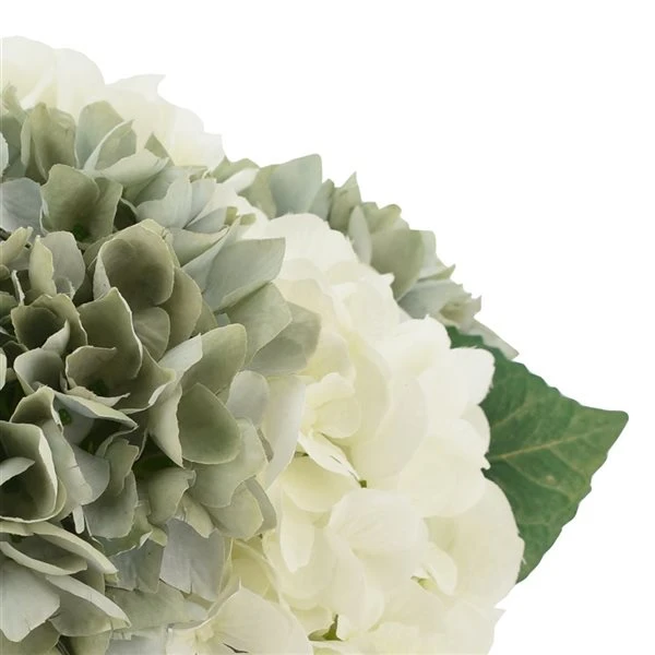 Grayson Lane 8-in x 11-in Natural Artificial Foliage - Teal Plastic and Ceramic 3 Grayson Lane 8-in x 11-in Natural Artificial Foliage - Teal Plastic and Ceramic - Image 3