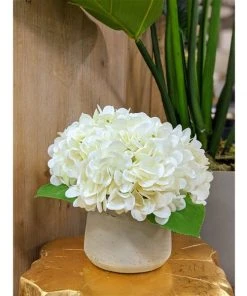 Grayson Lane 10-in x 10-in Natural Artificial Foliage - White Plastic and Ceramic -GRAYSON LANE shop 330861605 AlternateImage1 l