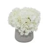 Grayson Lane 10-in x 10-in Natural Artificial Foliage - White Plastic and Ceramic