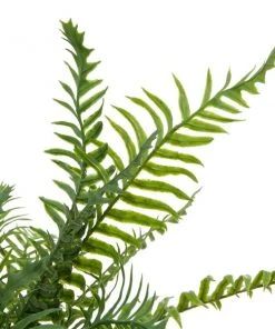 Grayson Lane 20-in x 17-in Natural Artificial Foliage - Green Plastic and Ceramic -GRAYSON LANE shop 330861714 AlternateImage3 l