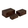 Grayson Lane Set of 3 12-in, 10-in, 8-in Brown Rustic Box - Mango Wood