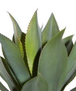 Grayson Lane 59.50-in Green Artificial Agave Plant -GRAYSON LANE shop 330862023 AlternateImage2 l