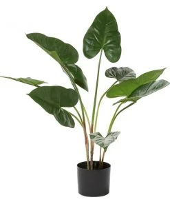 Grayson Lane 28-in Green Artificial Hyacinth Plant