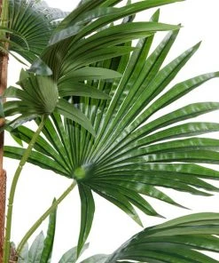 Grayson Lane 64.60-in Green Artificial Palm Plant -GRAYSON LANE shop 330862170 AlternateImage2 l