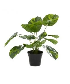 Grayson Lane 19.05-in Green Artificial Agave Plant -GRAYSON LANE shop 330862178 AlternateImage4 l