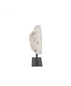 Grayson Lane 1-Piece 15-in x 4-in White Classic Sculpture -GRAYSON LANE shop 330862323 AlternateImage3 l