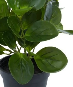 Grayson Lane 13.45-in Green Artificial Peperomia Plant -GRAYSON LANE shop 330862347 AlternateImage2 l