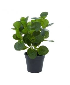 Grayson Lane 13.45-in Green Artificial Peperomia Plant -GRAYSON LANE shop 330862347 AlternateImage4 l