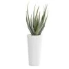 Grayson Lane 33.50-in Artificial Agave Plant