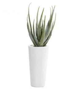 Grayson Lane 33.50-in Artificial Agave Plant