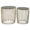 Grayson Lane Gold Glass Accent Table Set - 2-Piece