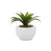 Grayson Lane 9.75-in Artificial Dracaena Plant