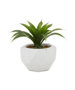 Grayson Lane 9.75-in Artificial Dracaena Plant