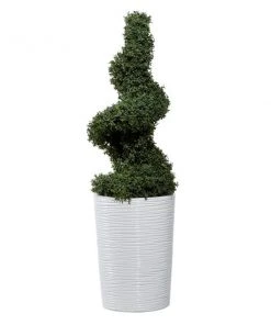 Grayson Lane 60.50-in Artificial Boxwood Tree -GRAYSON LANE shop 330862767 AlternateImage4 l