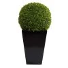 Grayson Lane 32-in Artificial Boxwood Tree