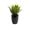 Grayson Lane 21.55-in Artificial Dracaena Plant