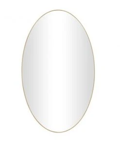 Grayson Lane 40-in L X 24-in W Contemporary Oval Gold Framed Wall Mirror