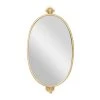 Grayson Lane 15-in x 29-in Oval Gold Contemporary Framed Wall Mirror