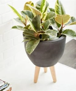 Grayson Lane 15-in x 16-in Contemporary Grey Clay Planters - Set of 3 -GRAYSON LANE shop 330940804 AlternateImage3 l