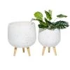 Grayson Lane 14.95-in x 16.85-in White Ceramic Planters - Set of 2