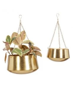 Grayson Lane 12-in W x 7-in H Gold Metal Hanging Wall Planter - 2-Pack 9 Grayson Lane 12-in W x 7-in H Gold Metal Hanging Wall Planter - 2-Pack -GRAYSON LANE shop 330941157 AlternateImage5 l