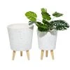 Grayson Lane 10-in W x 14.50-in H White Ceramic Planter - 2-Pack