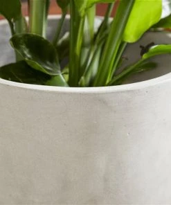 Grayson Lane 16-in W x 32-in H White Clay Planter -GRAYSON LANE shop 330941357 AlternateImage3 l