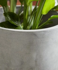 Grayson Lane 16-in W x 32-in H Grey Clay Planter -GRAYSON LANE shop 330941375 AlternateImage3 l