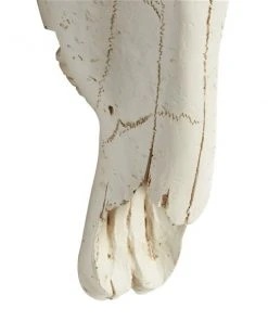 Grayson Lane 16-in H x 12-in W Skull Polystone Wall Accent 3 Grayson Lane 16-in H x 12-in W Skull Polystone Wall Accent -GRAYSON LANE shop 330941466 AlternateImage6 l