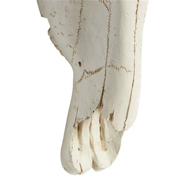 330941466_AlternateImage6_l.jpg Grayson Lane 16-in H x 12-in W Skull Polystone Wall Accent -GRAYSON LANE shop 330941466 AlternateImage6 l