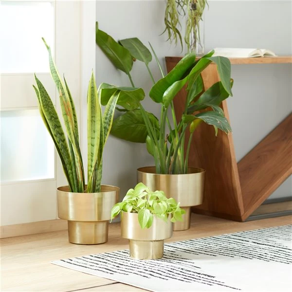 Grayson Lane 12.1-in W x 10.3-in H Gold Metal Planter - 3-Pack 2 Grayson Lane 12.1-in W x 10.3-in H Gold Metal Planter - 3-Pack - Image 2