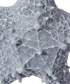 Grayson Lane 14-in H x 14-in W Coastal Resin Wall Accent -GRAYSON LANE shop 330942278 AlternateImage6 l