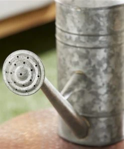 Grayson Lane 11-in x 18-in 9-L Grey Iron Farmhouse Watering Can -GRAYSON LANE shop 330942457 AlternateImage3 l