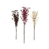 Grayson Lane Multicoloured Natural Foliage - Set of 3