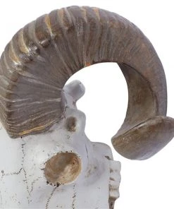 Grayson Lane 12-in H x 14-in W Farmhouse Skull Resin Wall Accent -GRAYSON LANE shop 330942635 AlternateImage5 l